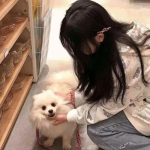 超次元乱战手游(暂未上线)v1.0 官方安卓版